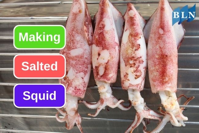 Tips On Making Salted Squid